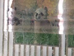 -五龙山野生动物王国