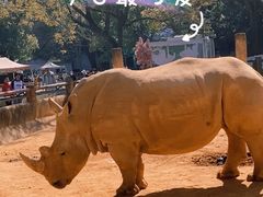 -昆明动物园