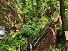 -天女山森林公园
