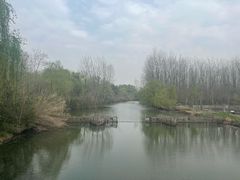 -溱湖国家湿地公园