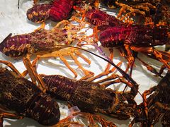 -万龙洲海鲜(大兴绿地缤纷城店)