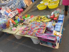 刚进去的桥上-山东柏宁水族批发广场