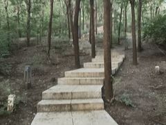 -南翠屏公园