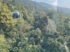 -紫金山索道-售票处