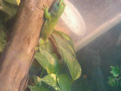 android_upload_pic-上海大自然野生昆虫馆