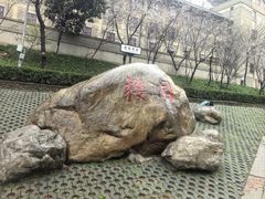 -武汉大学-樱园