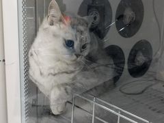 -宠颐生动物医院·心脏科·保险定点(锦阳分院)