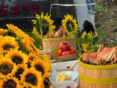 -蟹村草堂·苏式园林人文农家·大闸蟹