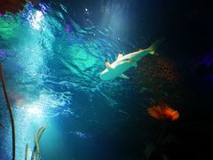 -沈阳海洋探索中心