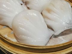 -高第街56号融合餐厅(振华五星百货店)