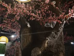 -朴大人炭烤·韩国料理(奥帆中心海尔洲际店)