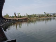 -枫香湖儿童公园