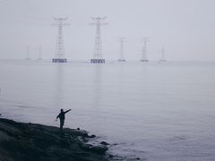 -宝安西湾红树林湿地公园