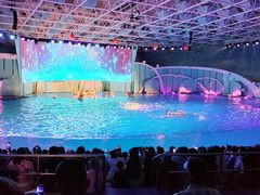 -海合安青岛极地海洋公园