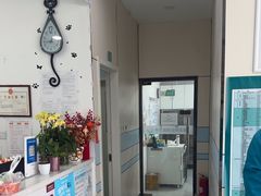 -中农国际动物医院24小时·猫科·骨科·急重症中心