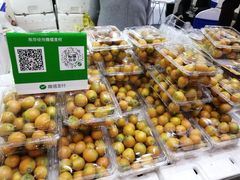 -郑州国际会展中心