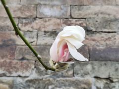 -东华门大街小区