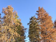 -长广溪湿地公园