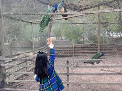 -溪口-滕头旅游景区