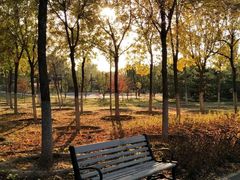 -永定河休闲森林公园