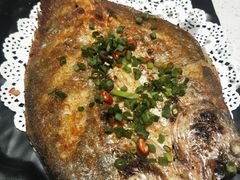 -九府羊·鲜羊火锅·烤串(新华路店)