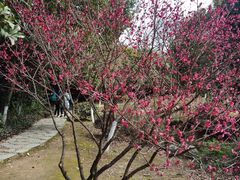 -白马涧龙池景区