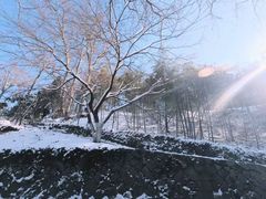 -莫干山风景区