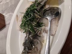 -山水茶艺馆·点心粤菜·30年老字号