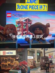 -乐高品牌旗舰店(人民广场店)