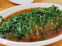 -老字号怡玺·藿香雅鱼(20年雅安店)