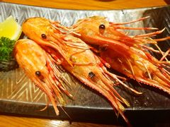 -千代武日本料理(爱建店)