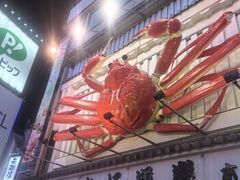 -蟹道乐(道顿堀本店)