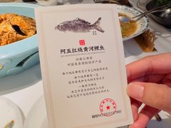 -阿五黄河大鲤鱼(英协路店)