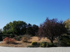 -北京植物园南门售票处