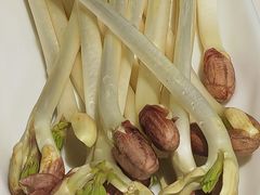 -周师兄大刀腰片火锅(解放碑总店)