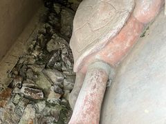 -上海佘山国家森林公园天马山园