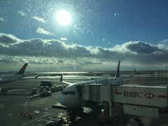 -约翰·菲茨杰拉德·肯尼迪国际机场