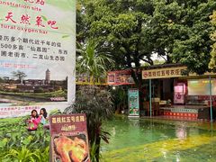 -荔枝红五号农庄