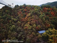 -洛阳白云山景区