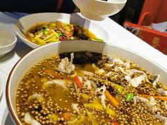 椒麻江团鱼-眉州东坡(上海中心店)
