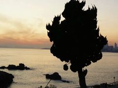 -青岛第一海水浴场