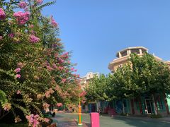 -青岛方特梦幻王国