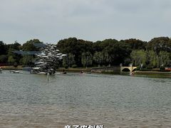 -上海鲜花港