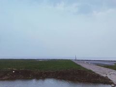 -南汇嘴观海公园