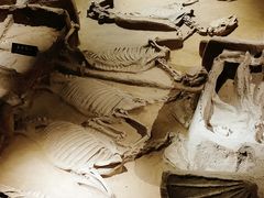 -洛阳周王城天子驾六博物馆