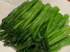 -云龙轩(迪士尼探索家度假酒店)