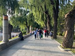 -长春市南湖公园