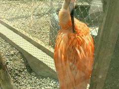 -青藏高原野生动物园
