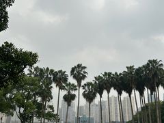 -江心屿景区