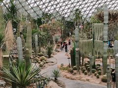 -上海辰山植物园